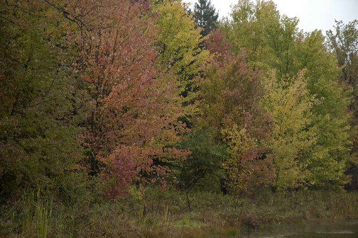 Caley_Refuge (1)