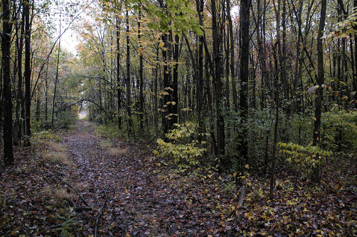 Caley_Refuge (11)