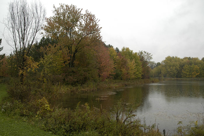 Caley_Refuge (2)